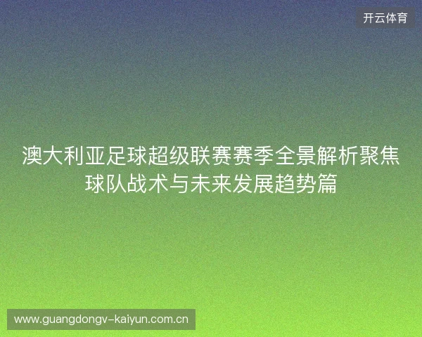 澳大利亚足球超级联赛赛季全景解析聚焦球队战术与未来发展趋势篇 澳大利亚足球超级联赛赛季全景解析聚焦球队战术与未来发展趋势篇