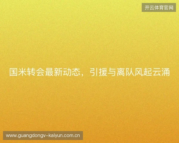 国米转会最新动态，引援与离队风起云涌